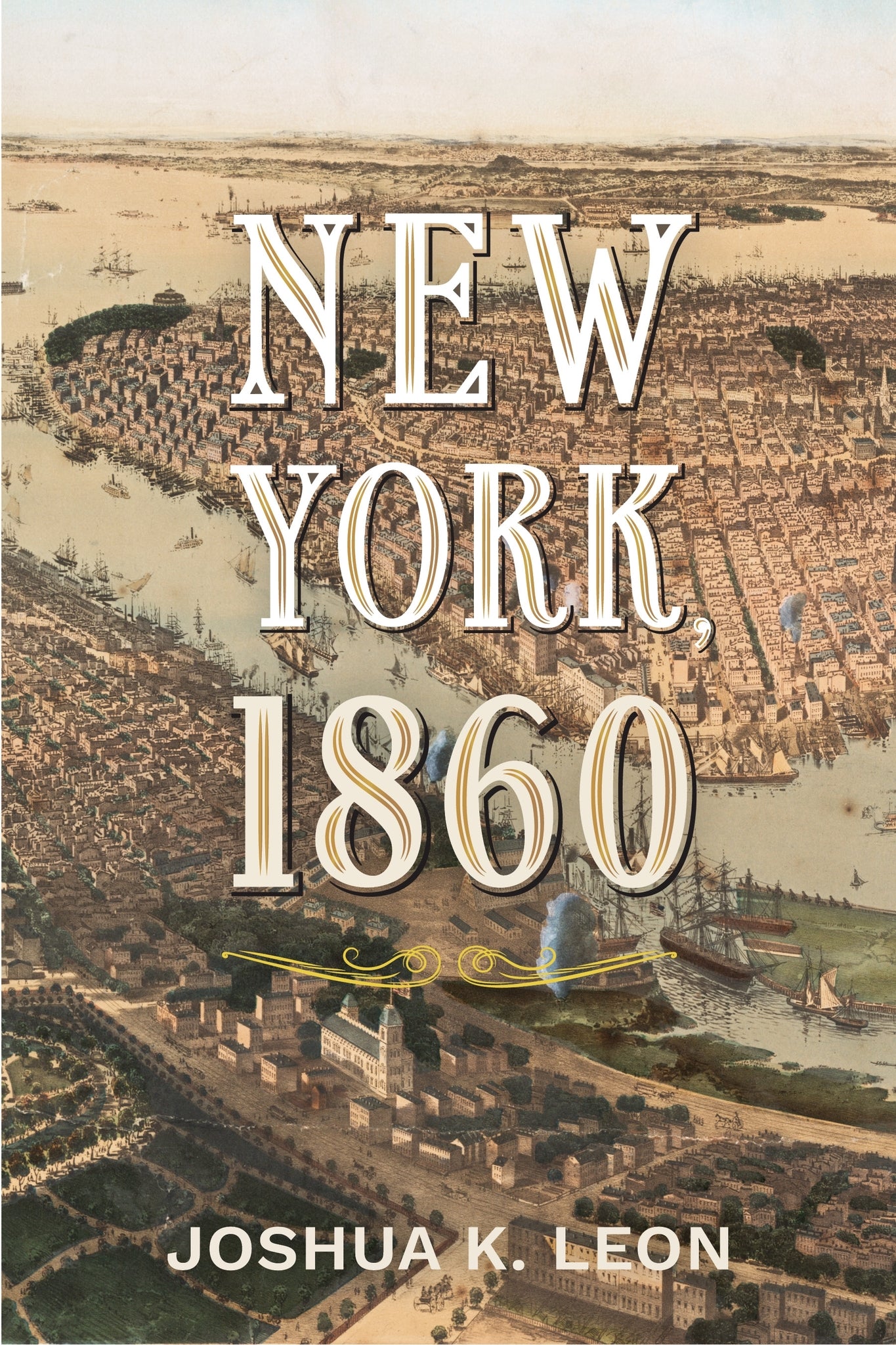 Cover image for New York, 1860 ISBN 9780231213264